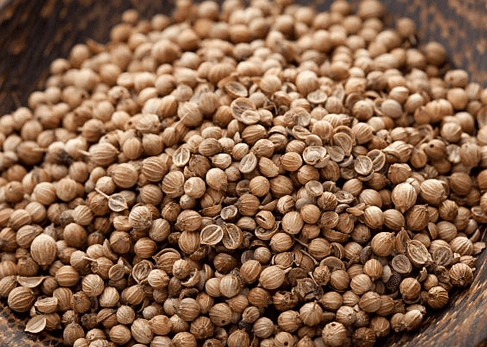 Coriander-Seed-001